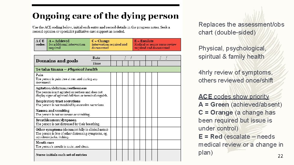 Replaces the assessment/obs chart (double-sided) Physical, psychological, spiritual & family health 4 hrly review
