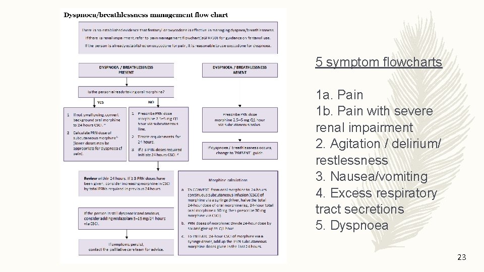 5 symptom flowcharts 1 a. Pain 1 b. Pain with severe renal impairment 2.