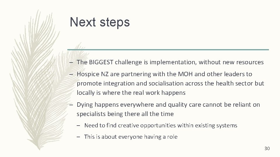 Next steps – The BIGGEST challenge is implementation, without new resources – Hospice NZ