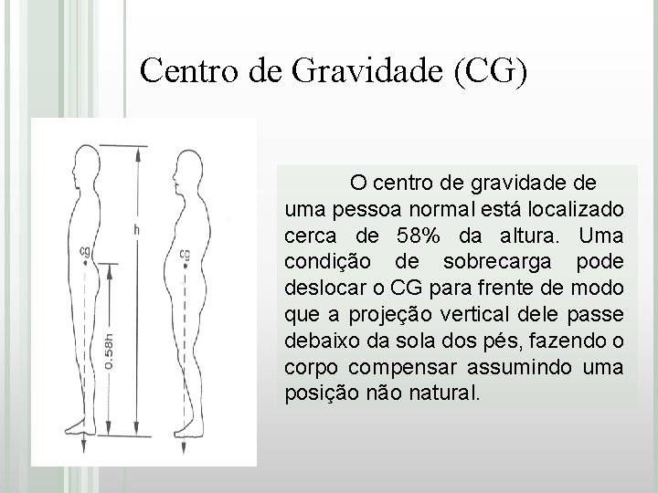 Centro de Gravidade (CG) O centro de gravidade de uma pessoa normal está localizado