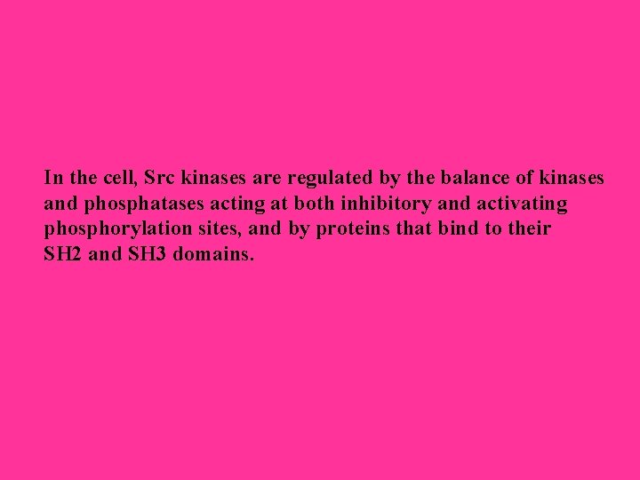 In the cell, Src kinases are regulated by the balance of kinases and phosphatases In the cell, Src kinases are regulated by the balance of kinases and phosphatases