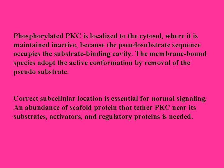 Phosphorylated PKC is localized to the cytosol, where it is maintained inactive, because the Phosphorylated PKC is localized to the cytosol, where it is maintained inactive, because the