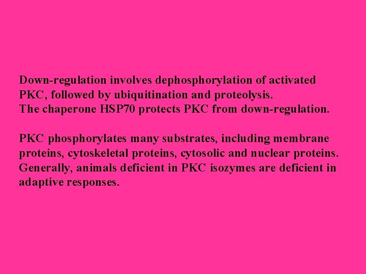 Down-regulation involves dephosphorylation of activated PKC, followed by ubiquitination and proteolysis. The chaperone HSP Down-regulation involves dephosphorylation of activated PKC, followed by ubiquitination and proteolysis. The chaperone HSP