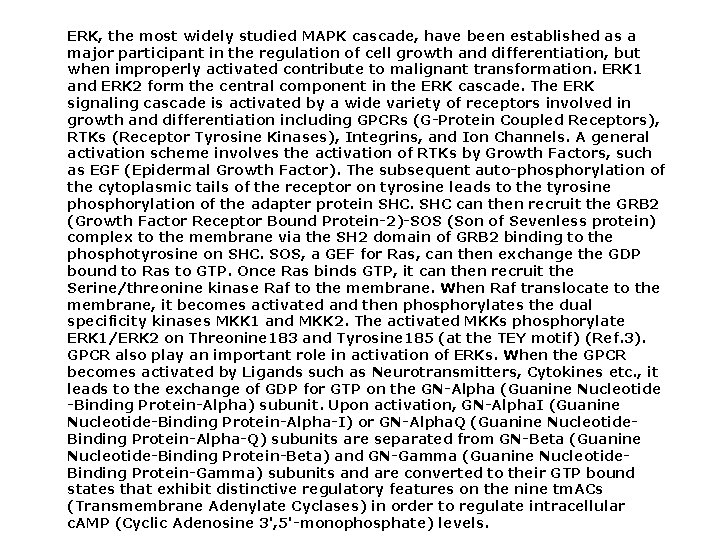 ERK, the most widely studied MAPK cascade, have been established as a major participant ERK, the most widely studied MAPK cascade, have been established as a major participant