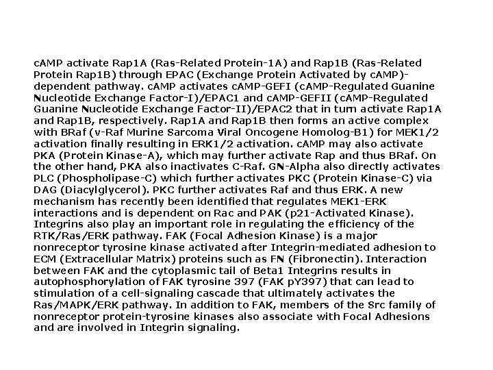 c. AMP activate Rap 1 A (Ras-Related Protein-1 A) and Rap 1 B (Ras-Related c. AMP activate Rap 1 A (Ras-Related Protein-1 A) and Rap 1 B (Ras-Related