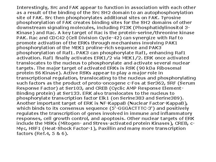 Interestingly, Src and FAK appear to function in association with each other as a Interestingly, Src and FAK appear to function in association with each other as a