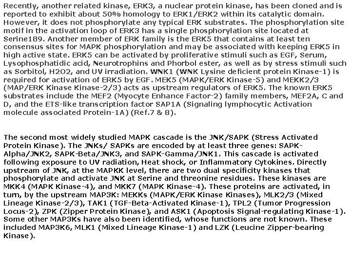 Recently, another related kinase, ERK 3, a nuclear protein kinase, has been cloned and Recently, another related kinase, ERK 3, a nuclear protein kinase, has been cloned and