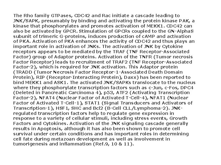 The Rho family GTPases, CDC 42 and Rac initiate a cascade leading to JNK/SAPK, The Rho family GTPases, CDC 42 and Rac initiate a cascade leading to JNK/SAPK,