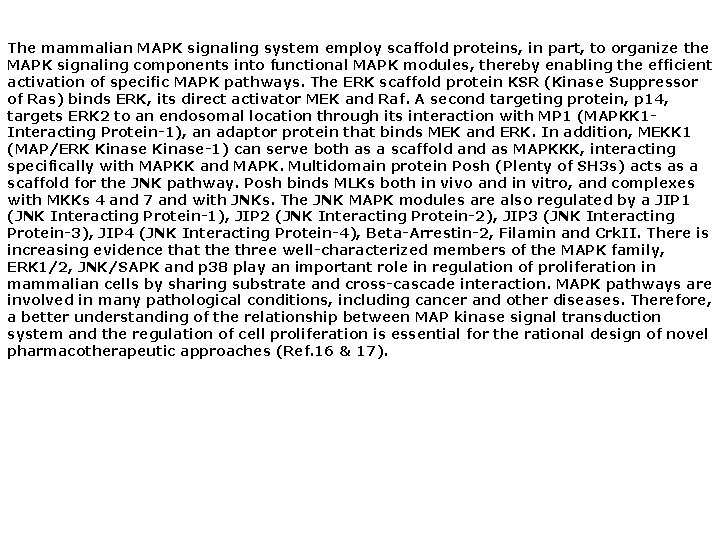 The mammalian MAPK signaling system employ scaffold proteins, in part, to organize the MAPK The mammalian MAPK signaling system employ scaffold proteins, in part, to organize the MAPK