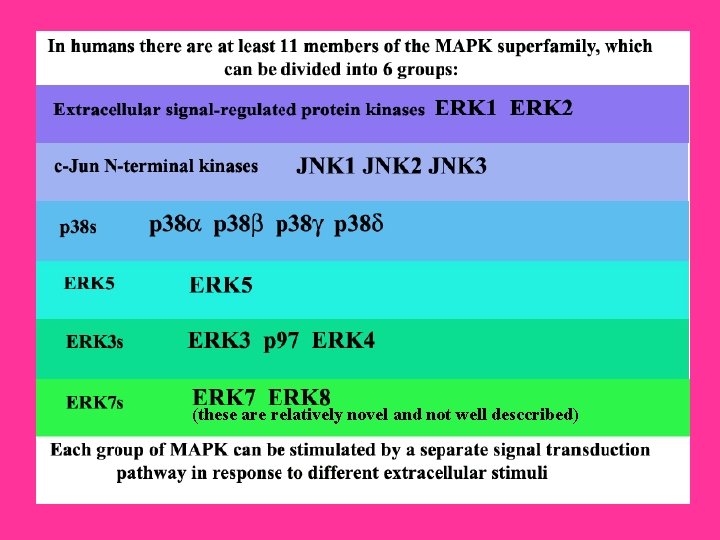 (these are relatively novel and not well desccribed) (these are relatively novel and not well desccribed)