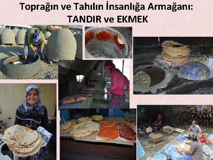 Toprağın ve Tahılın İnsanlığa Armağanı: TANDIR ve EKMEK Toprağın ve Tahılın İnsanlığa Armağanı: TANDIR ve EKMEK