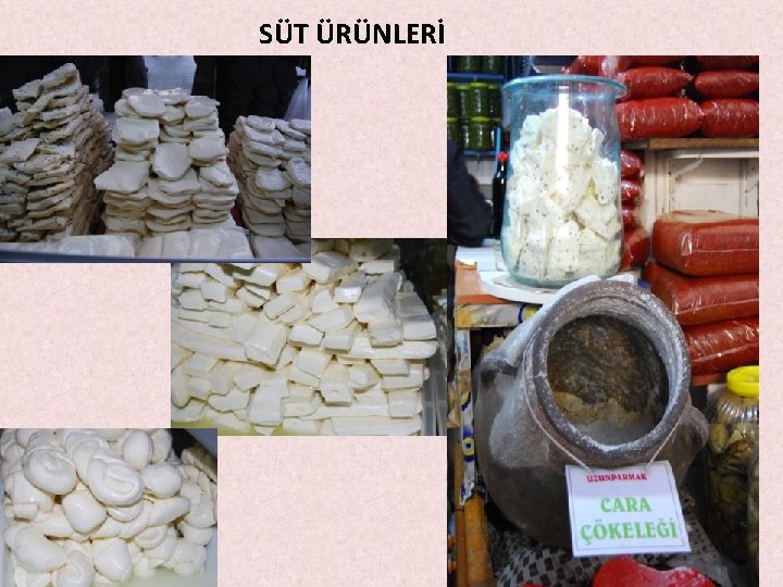SÜT ÜRÜNLERİ SÜT ÜRÜNLERİ