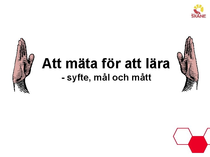 Att mäta för att lära - syfte, mål och mått 