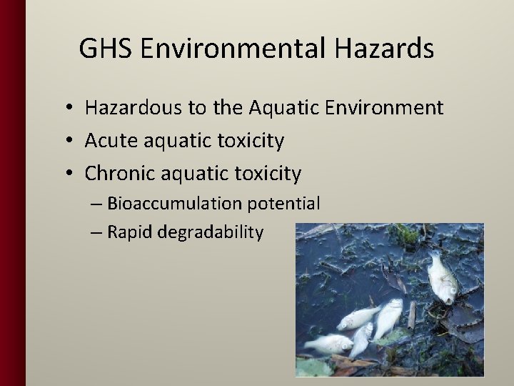 GHS Environmental Hazards • Hazardous to the Aquatic Environment • Acute aquatic toxicity •