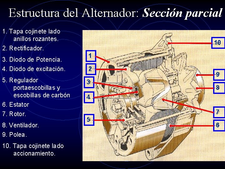 Estructura del Alternador: Sección parcial 1. Tapa cojinete lado anillos rozantes. 10 2. Rectificador.