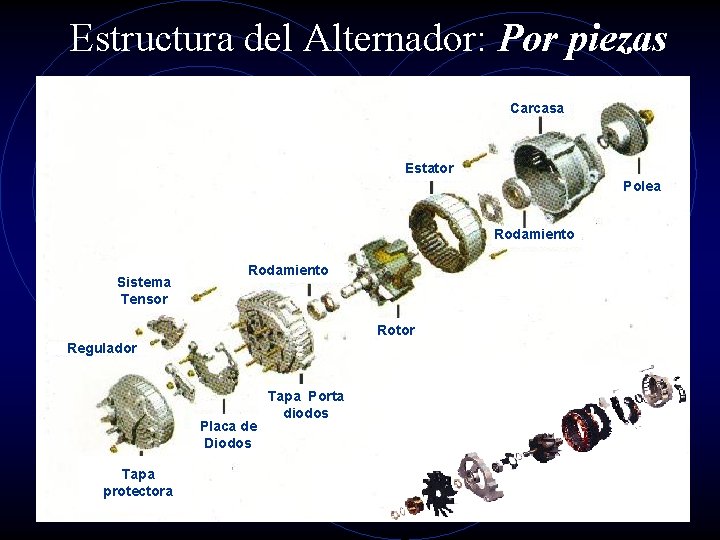 Estructura del Alternador: Por piezas Carcasa Estator Polea Rodamiento Sistema Tensor Rodamiento Rotor Regulador