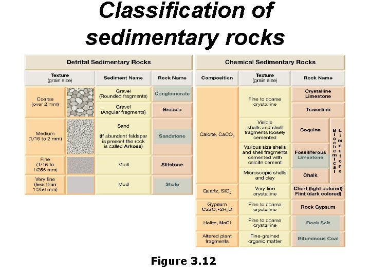 Classification of sedimentary rocks Figure 3. 12 