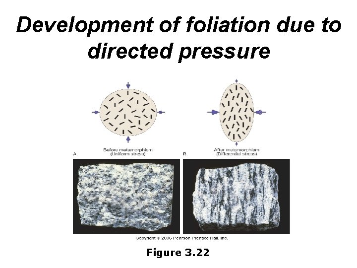 Development of foliation due to directed pressure Figure 3. 22 