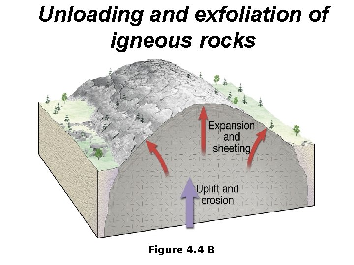 Unloading and exfoliation of igneous rocks Figure 4. 4 B 