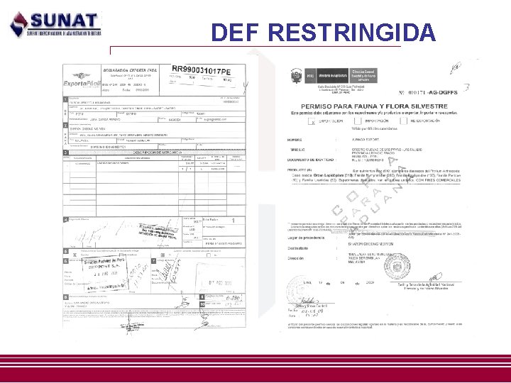 DEF RESTRINGIDA DEF RESTRINGIDA