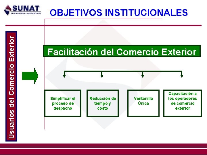 Usuarios del Comercio Exterior OBJETIVOS INSTITUCIONALES Facilitación del Comercio Exterior Simplificar el proceso de Usuarios del Comercio Exterior OBJETIVOS INSTITUCIONALES Facilitación del Comercio Exterior Simplificar el proceso de