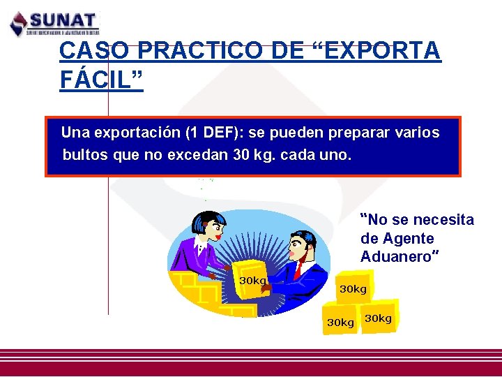 CASO PRACTICO DE “EXPORTA FÁCIL” Una exportación (1 DEF): se pueden preparar varios bultos CASO PRACTICO DE “EXPORTA FÁCIL” Una exportación (1 DEF): se pueden preparar varios bultos
