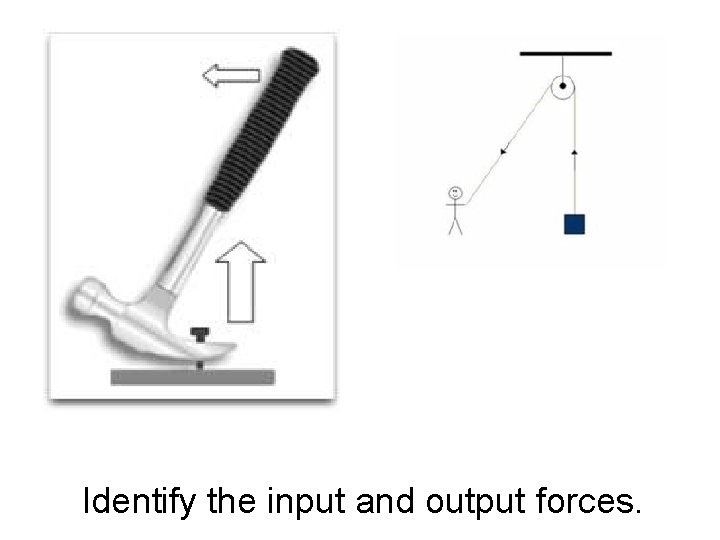 Identify the input and output forces. 