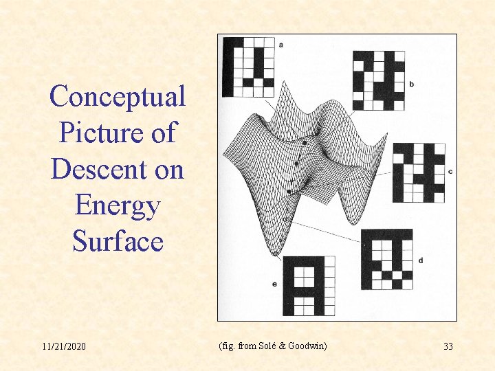 Conceptual Picture of Descent on Energy Surface 11/21/2020 (fig. from Solé & Goodwin) 33