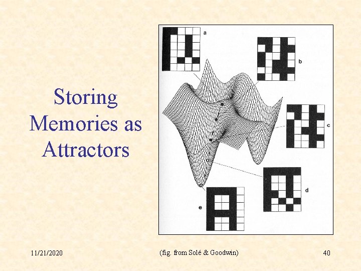 Storing Memories as Attractors 11/21/2020 (fig. from Solé & Goodwin) 40 