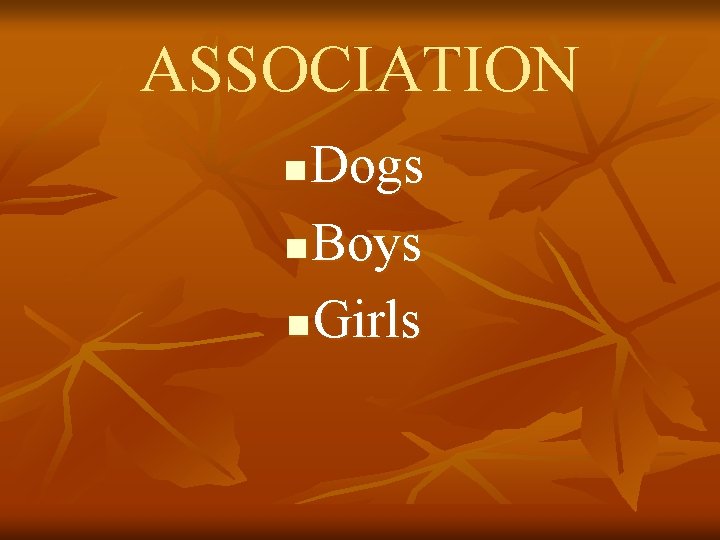 ASSOCIATION Dogs n Boys n Girls n 