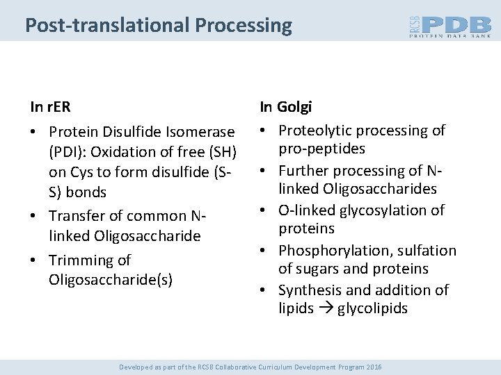 Post-translational Processing In r. ER • Protein Disulfide Isomerase (PDI): Oxidation of free (SH)