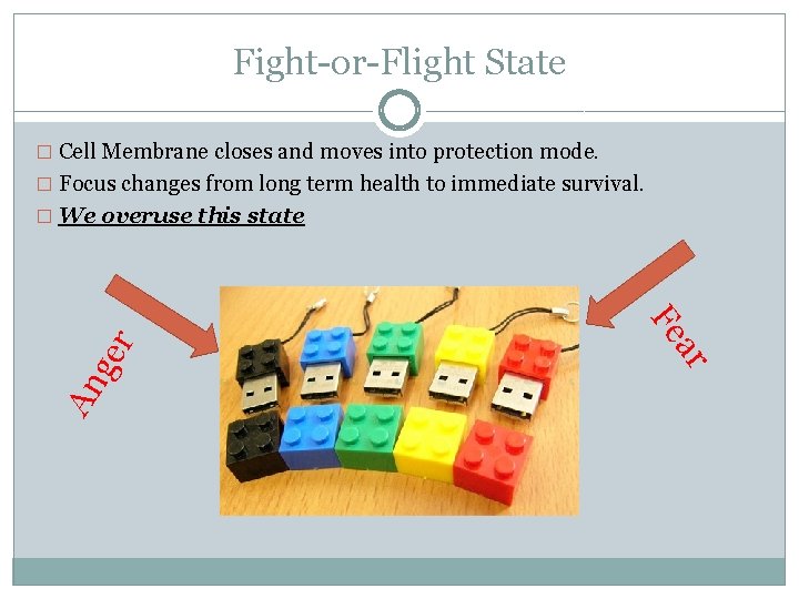 Fight-or-Flight State � Cell Membrane closes and moves into protection mode. � Focus changes