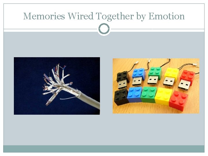 Memories Wired Together by Emotion 