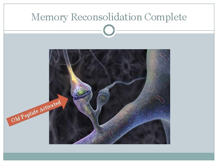 Memory Reconsolidation Complete P Old ide t p e A ted a v i
