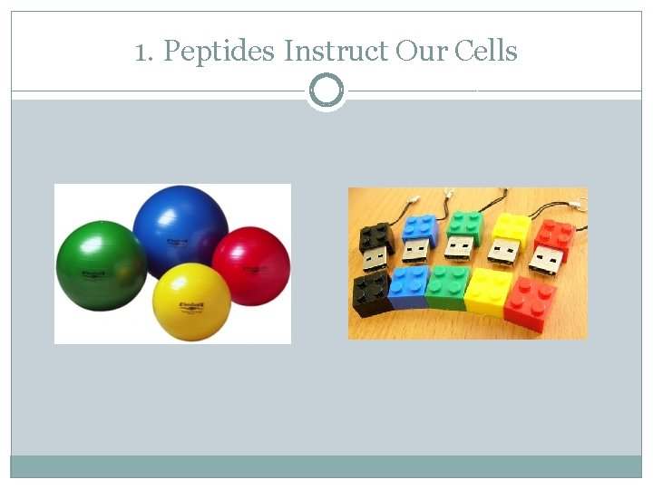 1. Peptides Instruct Our Cells 