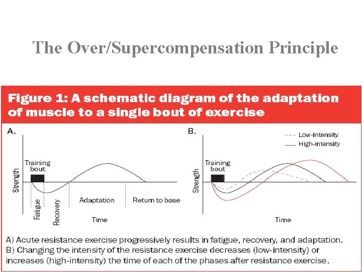 The Over/Supercompensation Principle 