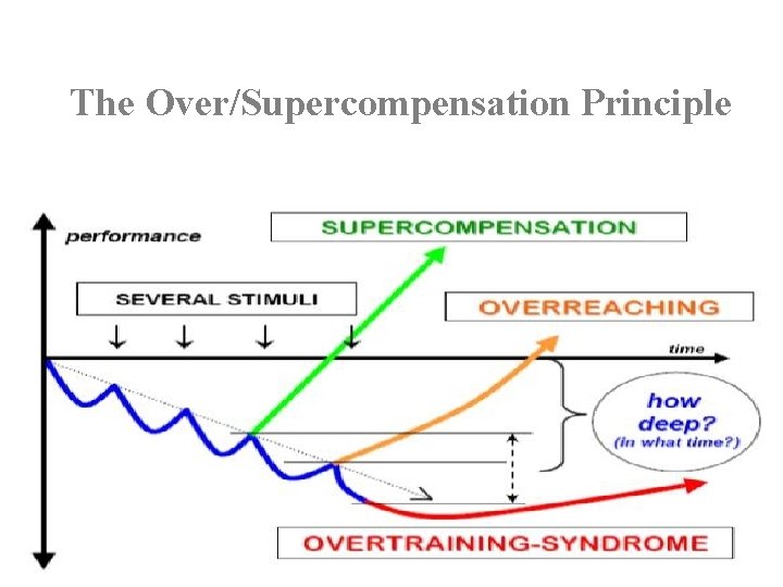 The Over/Supercompensation Principle 