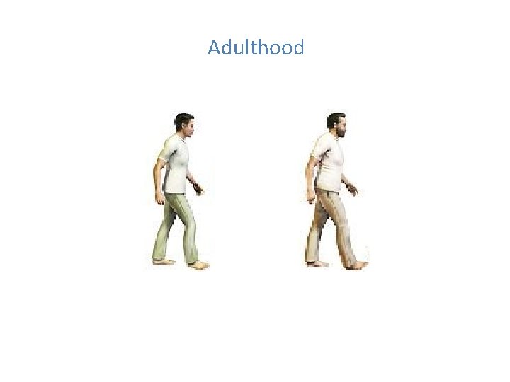 Adulthood Adulthood