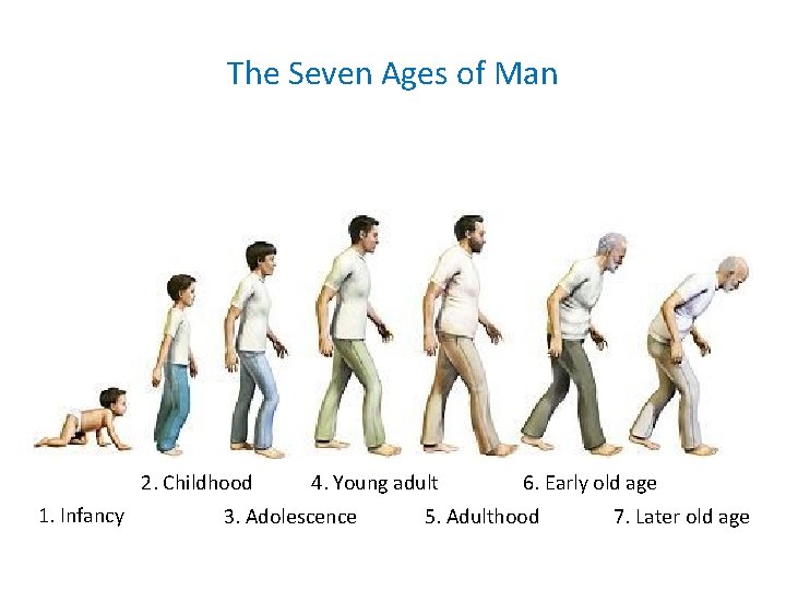 The Seven Ages of Man 2. Childhood 1. Infancy 4. Young adult 3. Adolescence The Seven Ages of Man 2. Childhood 1. Infancy 4. Young adult 3. Adolescence