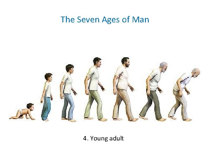 The Seven Ages of Man 4. Young adult The Seven Ages of Man 4. Young adult