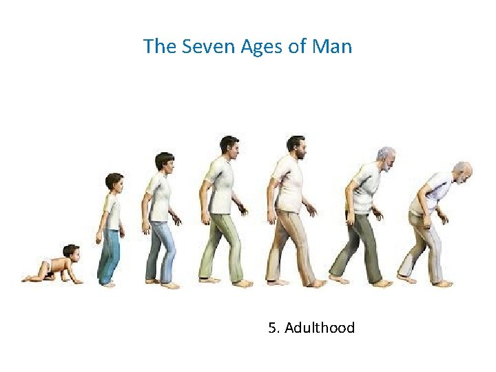 The Seven Ages of Man 5. Adulthood The Seven Ages of Man 5. Adulthood