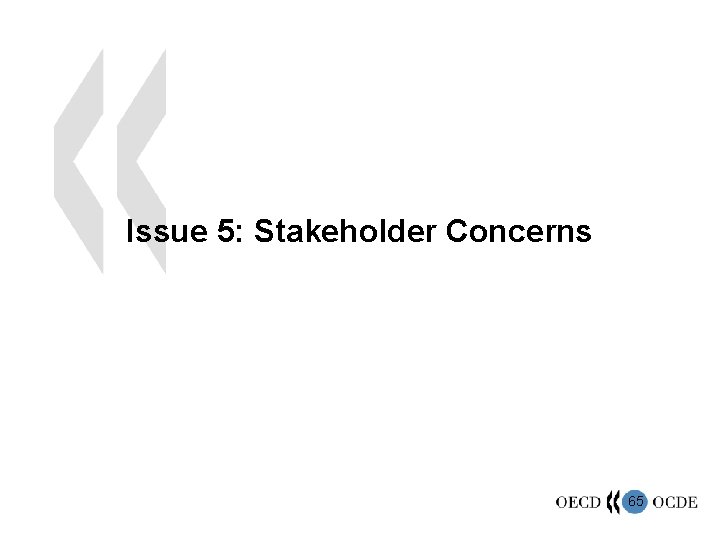 Issue 5: Stakeholder Concerns 65 