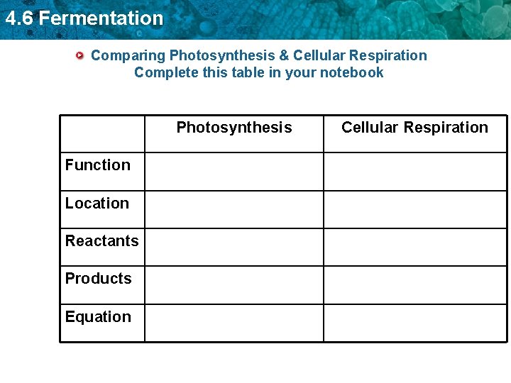 4. 6 Fermentation Comparing Photosynthesis & Cellular Respiration Complete this table in your notebook