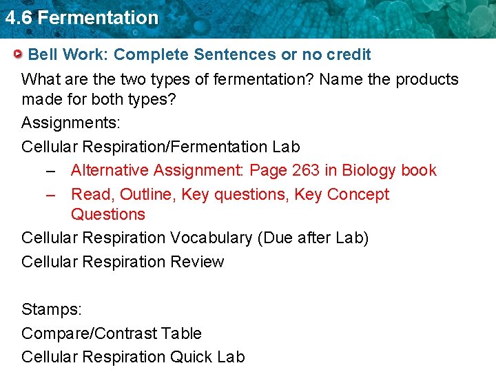 4. 6 Fermentation Bell Work: Complete Sentences or no credit What are the two