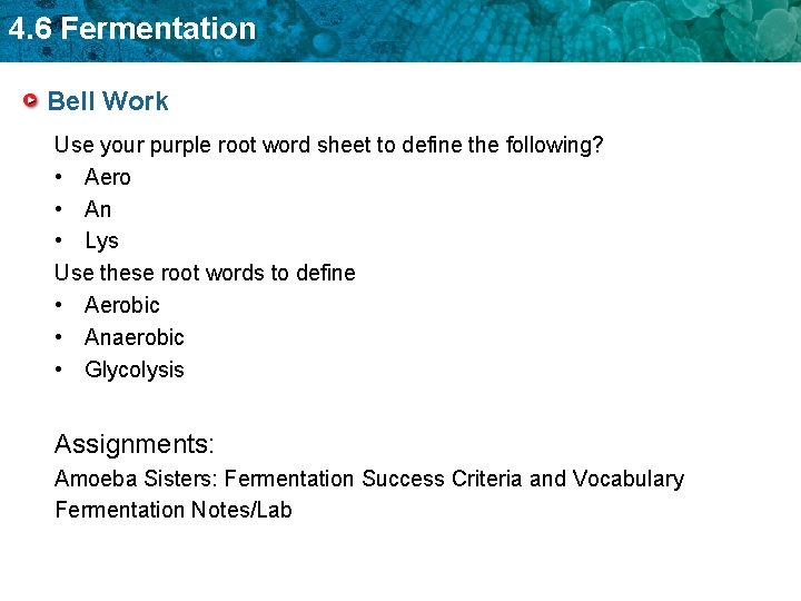 4. 6 Fermentation Bell Work Use your purple root word sheet to define the