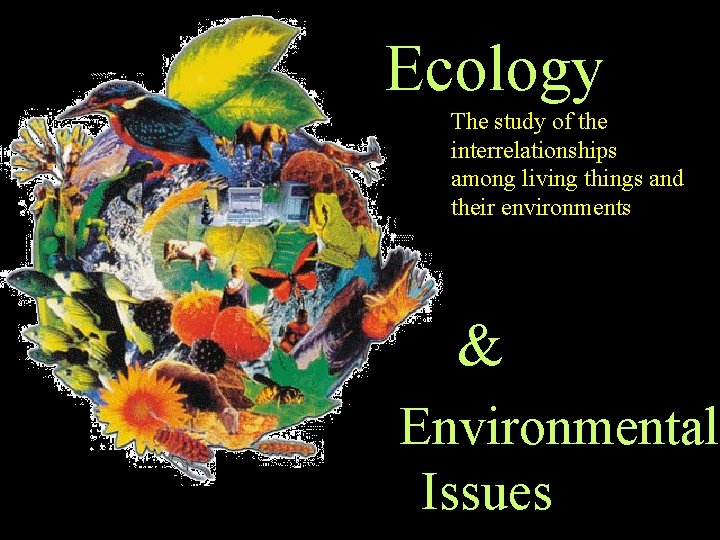 Ecology The study of the interrelationships among living things and their environments & Environmental