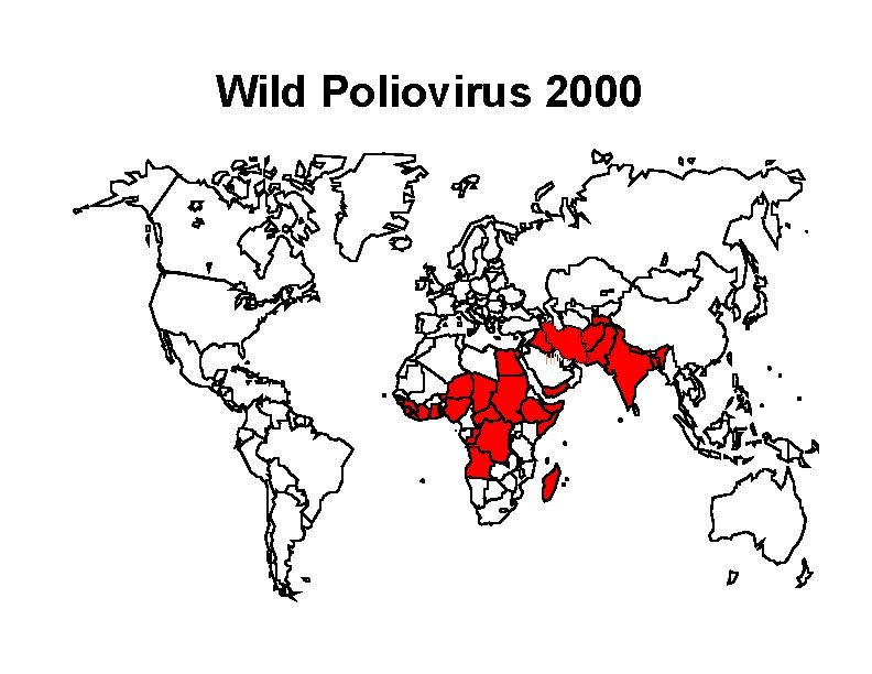 Wild Poliovirus 2000 