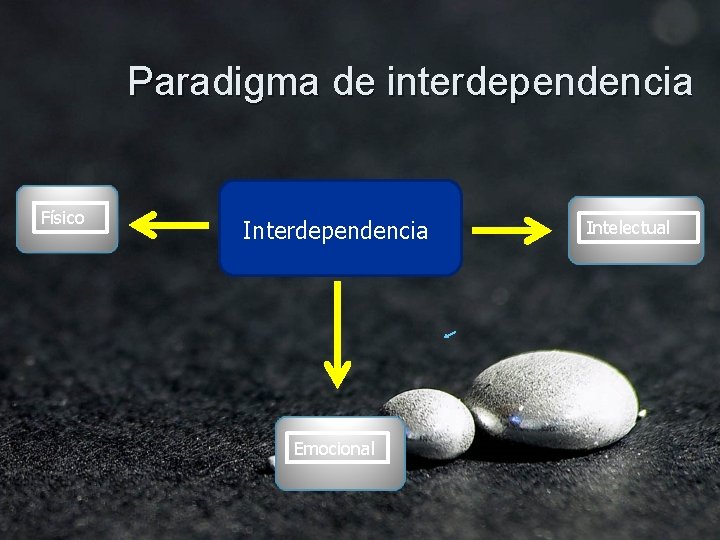 Paradigma de interdependencia Físico Interdependencia Emocional Intelectual 