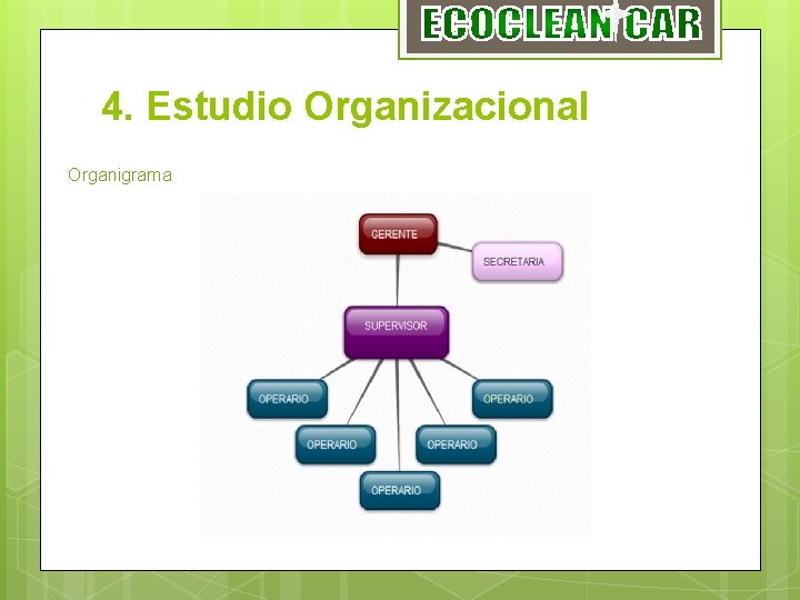 4. Estudio Organizacional Organigrama 