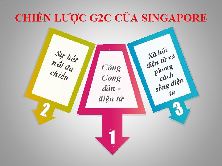 CHIẾN LƯỢC G 2 C CỦA SINGAPORE Sự k nối ết đa chiề u